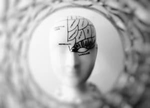 picture of a white head with brain parts drawn on