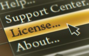 computer mouse over the word license