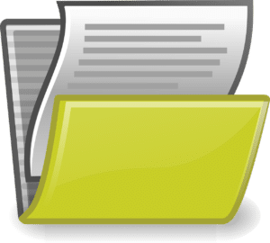 papers in a yellow folder